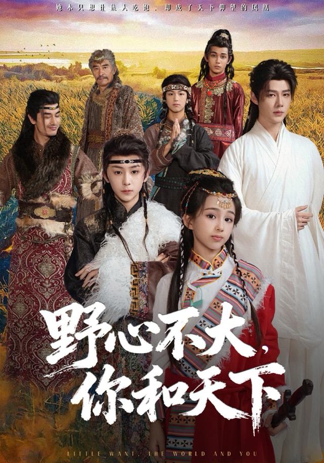 野心不大，你和天下(全集)